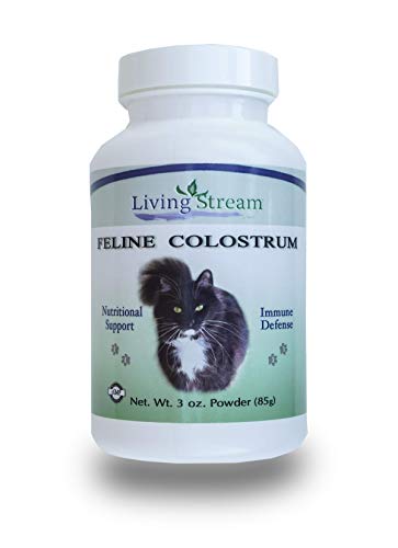 Best Colostrum For Cats