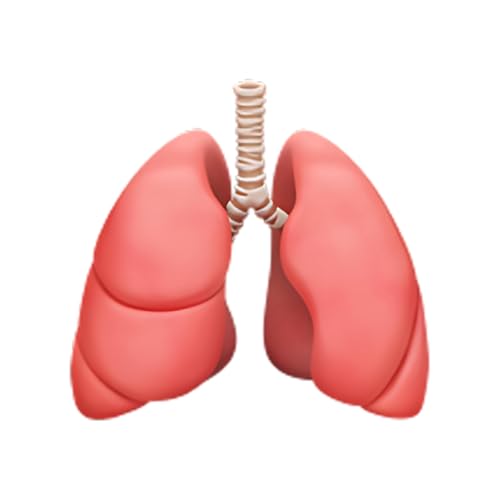 Merci de ne pas m&rsquo;avoir sauv&eacute; la vie