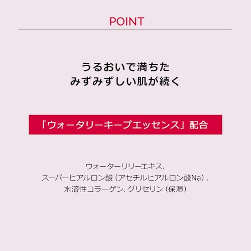 マキアージュ (MAQUILLAGE) ドラマティックハイライター の商品画像 6