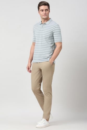 Image of Peter England Men's Cotton-Polyester Blend Striped Polo T-Shirt | Casual Wear | Durable & Trendy Regular Fit