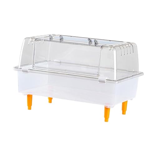 f ^nX^[P[W W[rnlY~Ȃǂ̏p ܂܂ƗV