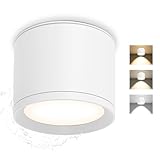 GeyouLux Focos LED Interior Techo IP44, Aluminio Superficie Plafon Techo Blanco 1 pieza
