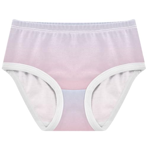Joisal Ombre Blue Pink Gradient Toddlers Underwear Floral 2t Cotton Panties for Girl Colorful Briefs Undies Kids
