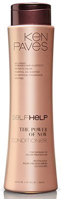 Ken Paves SelfHelp® The Power of Now Conditioner