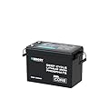 Renogy 12V 200Ah LiFePO4 Lithium Battery Mini Size, Up to 5000+ Deep Cycles, 200A Upgraded BMS, 380A Peak Discharge W/Low Temp Protection, Compact Size for RV, Marine, Solar, Trolling Motor Backpower