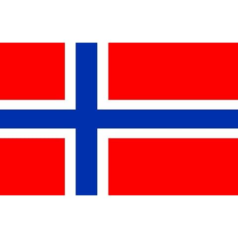 Norwegian Flag Fridge Magnet, FLAGS Cover