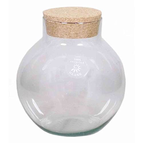 INNA-Glas Terrario in Vetro Gaspar, con Coperchio di Sughero, Sfera/Rotondo, Trasparente, 20cm, Ø12cm/Ø19cm - Vaso da Piante - Portafiori