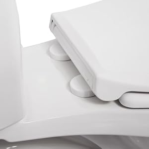 Signature Hardware 462387 Bradenton 128 GPF Two Piece Round Toilet with 14 Rough In White