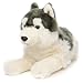 Uni-Toys - Husky grau, liegend - 38 cm (Länge) - Plüsch-Hund - Plüschtier, Kuscheltier