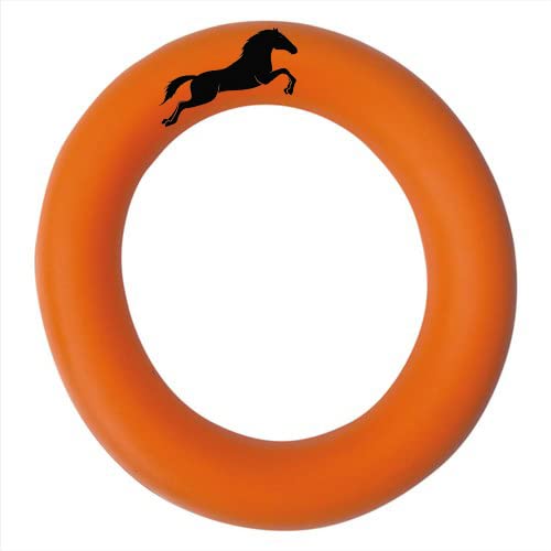 ASHWAN TENNIKOIT Ring (Plain) (2) (B09Z6ST3QN) Amazon Price History, Amazon Price Tracker