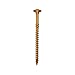 STRCTRL SCREW 5/16X4