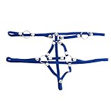 Mens Thongs with Ring G-Strings Underwear Sexy Sissy Lingerie Erotic Briefs Panties for Sex Naughty Blue