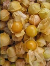Pineapple Ground Cherry Seeds (100 Seeds)