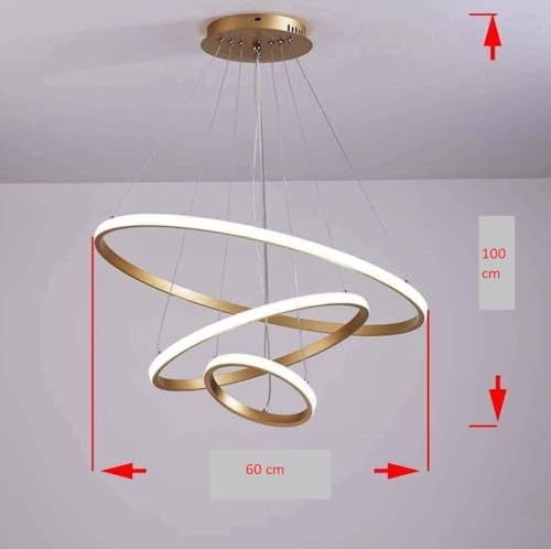 Image of Mahganya Metal Modern Ring Chandelier (3 Ring Light)