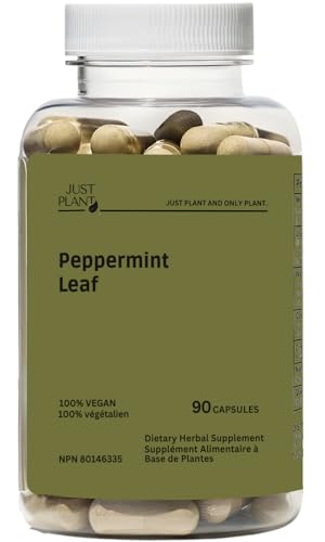 Vegan Peppermint Leaf Capsules 750mg, 90 Vegan Capsules | Gentle