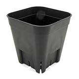 プレステラ75【108個セット】2号鉢 スリット入り プラ鉢 プラスチック鉢 幼苗 実生 育苗 多肉植物 サボテン アガベ ビカクシダ アンスリューム 塊根 観葉植物 黒 black ブラック frog_yamato