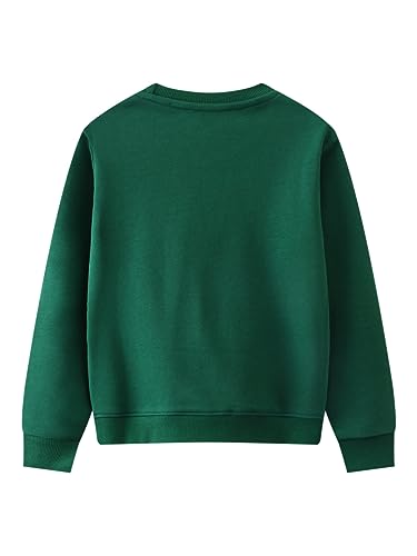 Boys Sweatshirts Casual Sweatshirts Cotton Sweatshirts Long Sleeve T-shirts Crew Neck Cartoon Tops for Boys-4632