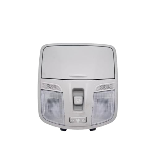 Luz de lectura del techo para Hyundai Elantra consola gris OEM 92810-F2000