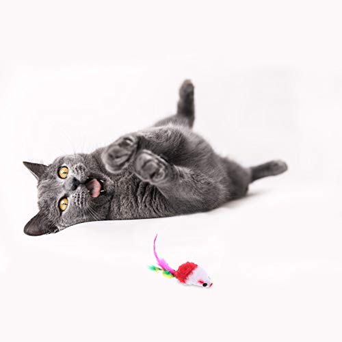 Falllea 20 Stück Pelzige Kätzchen Mäuse Katze Spielzeug Mit Rassel und Federschwänzen - Haustier Catcher für Katzen Spaß
