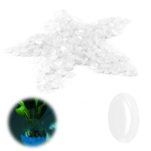 300 Pierres Lumineuses Blanc pour Jardin et Aquarium, Galets Brillants qui Brille dans le Noir,...