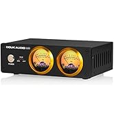 Douk Audio VU22 Duales analoges VU Meter Display DB Panel Musikspektrum MIC und LINE Schallpegelm...