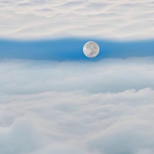 Fondation - Entre deux terres