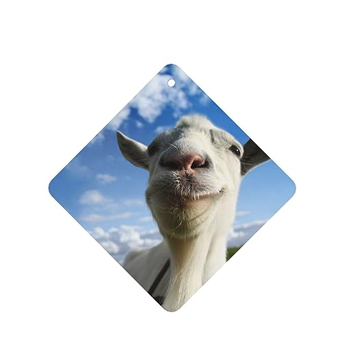 M̎ԗpF p[\iCYꂽXCX J[A}Zs[^ubg ݂艺F܃J[h [vt 4 ԂƂ̑p