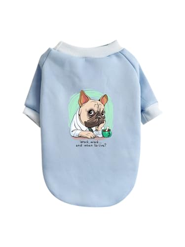  pO ybg hbOEFA ̕ L ybgEFA h _炩 іh~   t@bV U ybgpi