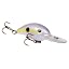 Chartreuse Shad