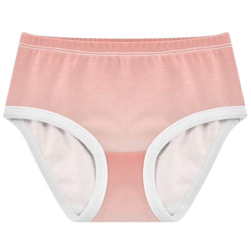 Joisal Coral Pink Linen Gradient Panties Little Girl Girls Underwear Toddlers Cotton Pattern Underpants Briefs 2t