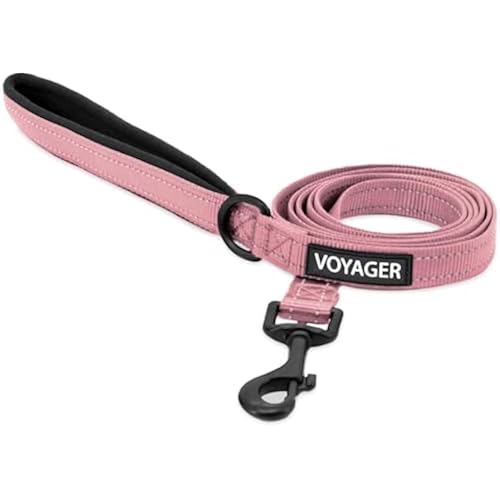 Best Pet Supplies Voyager Nylon Dog Leash - Soft Pink, Medium