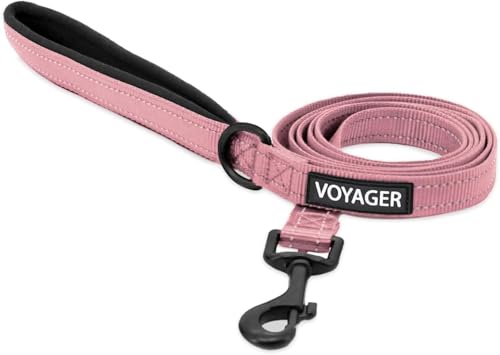 Best Pet Supplies Voyager Reflective Dog Leash or Collar with Neoprene Handle, for Small, Medium, and Large Breed Puppies, Cute and Heavy Duty for Walking, Running and Training - Soft Pink (Leash), M