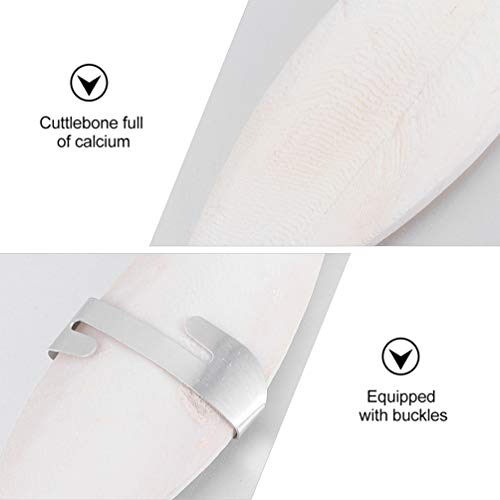 POPETPOP 12 Stuks Cutbone Kauwspeeltje Reptielen Cutbone Speelgoed Om Te Kauwen Cuttlebone Kies Speelgoed Stekelbeenderen Van Papegaaien Vogel Calciumblok Inktvis Tijger Huid Metaal Wit - Afbeelding 4