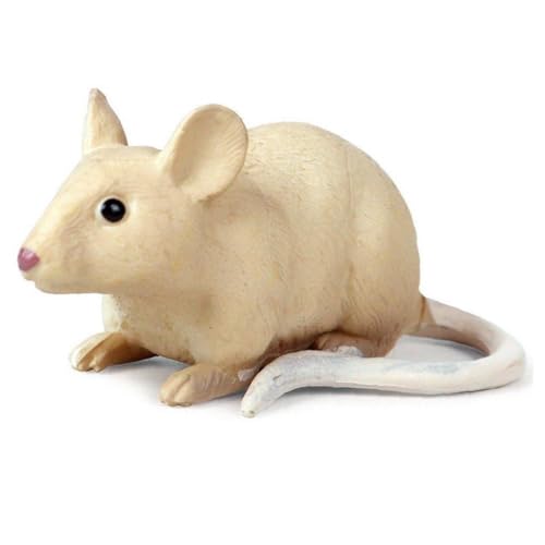 V~[V lY~ u f 킢  ̂ ~ z[ fR[V ~j`A d̒  ANZT[