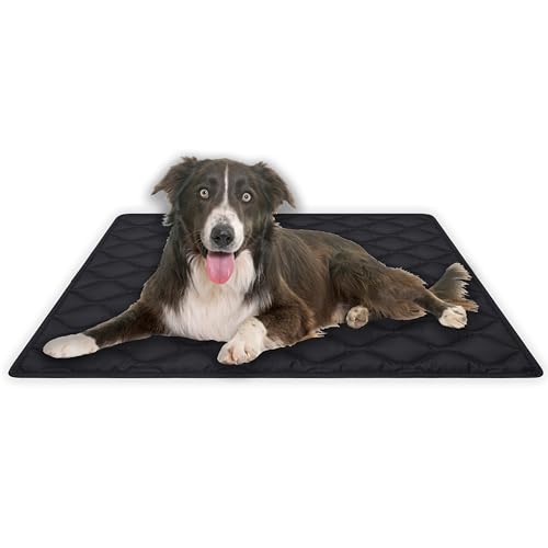 MyBestBuddy Hundematte Oxford wasserfest 90x70 cm L, Outdoor, schmutzabweisend und 40°C waschbar - Hundebett für große Hunde, 90 x 70 cm