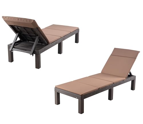 sinlikon Bain de Soleil Lot de 2 Pliant,Chaise Longue Pliable Exterieur,Positions reglables,Durable et Facile a Nettoyer (Y Lot de 2 Bain de Soleil avec...