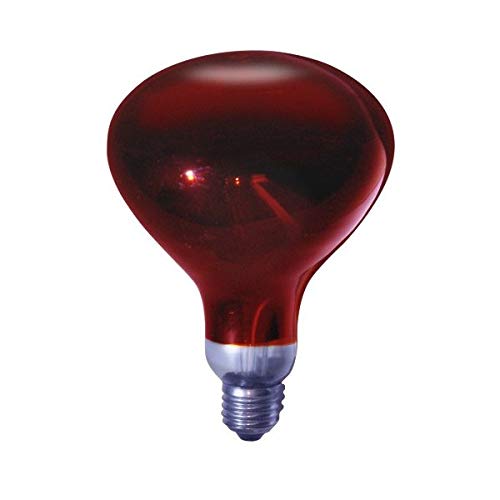 Lamparas Infrarrojas Industriales A Precios Asequibles