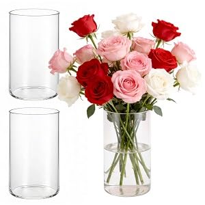 LDXDRU Lot de 3 vases en verre transparent 15 cm - Photophore et vase à fleurs en verre transparent - Fond pour bougies, fleurs, galets, coquillages