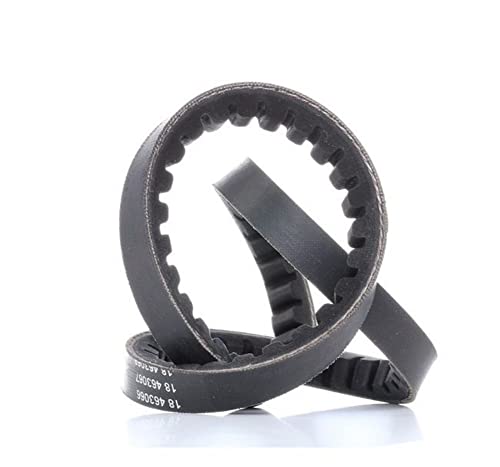 Power Assisted Belt 57231-29100 courroie de direction aux normes d'origine