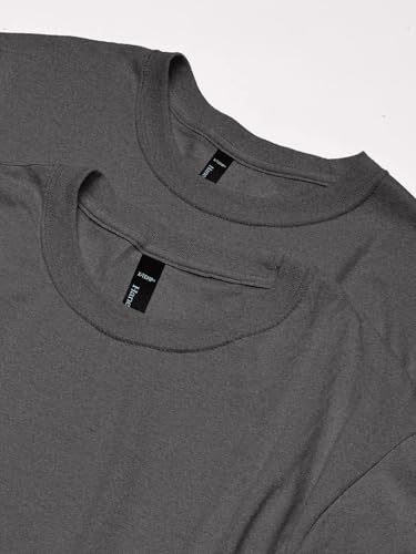 Hanes Men's Perfect-T Short Sleeve Triblend T-shirt (2-pack)2