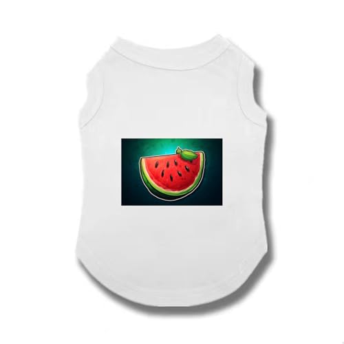 [XANPYO] ybg lGʗp y ybg іh~ ?Oh  t   ƒ U o EhlbN L  ^ ^  t  _炩 ʋC Lk