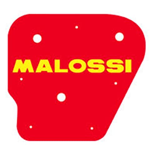 Un prodotto di alta qualità dal produttore Malossi
