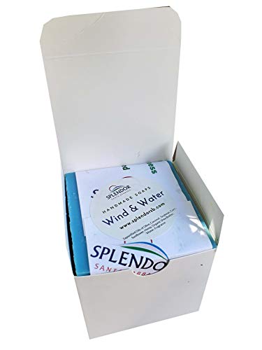 Men's Collection Variety Sample Pack Soap Bars (Wind & Water, Citrus Island & Mountain Breeze) - Moisturizing Handmade Vegan Natural Castile Coconut Oil Face and Body Soap With Organic Ingredients