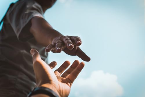 Which Origins Theory Better Explains Altruism and Morality? Podcast Por arte de portada