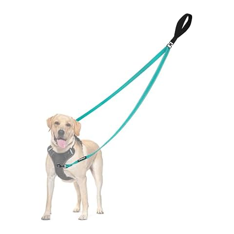 PetBonus Two Point Control Dog Leash, Works with No Pull Harnesses, No Tangle Dog Training Leashes, No Pull Padded and Reflective Walking Lead,Converts to Single Leash for Medium Large Dogs(Turquoise) Cover