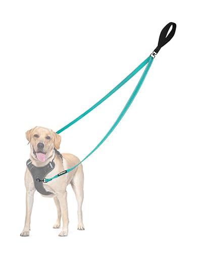 PetBonus Two Point Control Dog Leash
