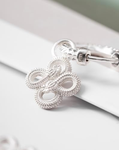 COPPERTIST.WU Double Snake Dangle Earrings 925 Sterling Silver Snake Hoop Earrings Hypoallergenic Jewelry for Women Men4