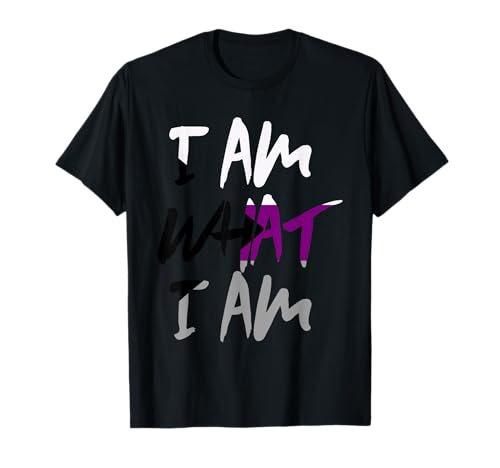 I am What I am Demisexual Flagge Shirt für Demsexuell T-Shirt