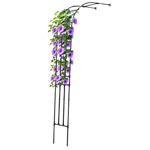 Arche de jardin pour plantes grimpantes,Demi-arche Arceau à rosiers,Solide Et Durable Treillis,Pergola pour extérieur,60/90/120/150/180/200/220/240/250/270/300cm Large,Noir(L120 x P40 x H240 cm)
