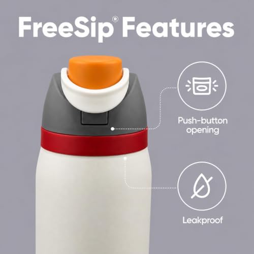 Image of HomeCloud 950ML Stainless Steel Water Bottle - Double-Wall Vacuum Insulated, Leakproof Straw Lid, BPA-Free Reusable Travel Flask with Two-Way Spout for Gym, Office & Outdoor Use (S White Grey)